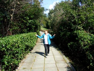 Прикрепленное изображение: DSCF6553.jpg